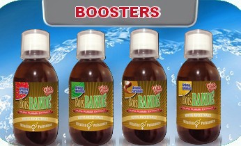 baner-boosters